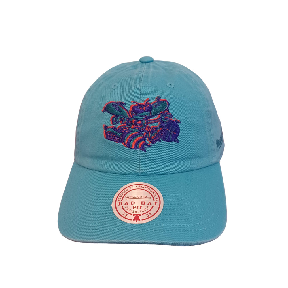 Mitchell & Ness Light Blue Charlotte Hornets Team NBA HWC Cap Hat Dad Fit NWT